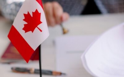 The Reason Why the Right UK Visa Consultant Is the Right Choice to Ensure the Success of Your Visa Application